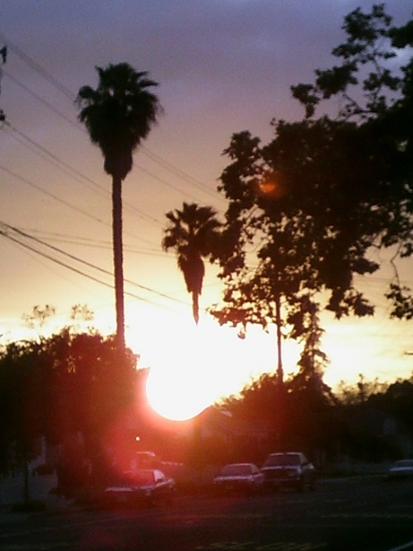 Livermore, CA : Sunset on Maple Street photo, picture, image