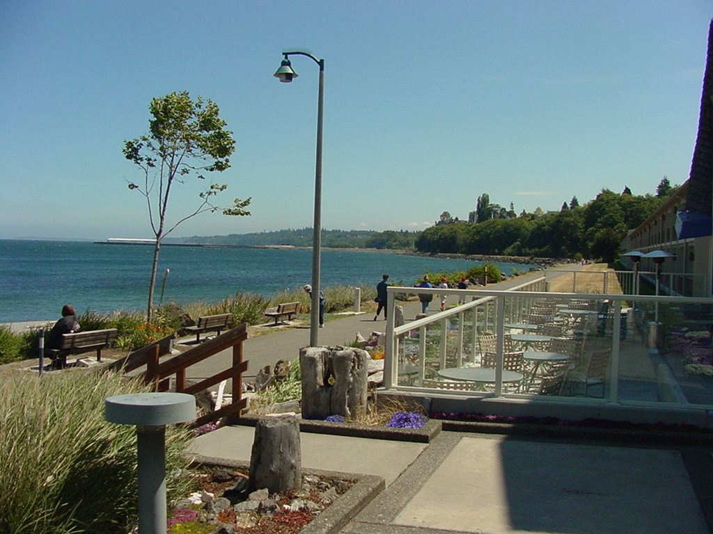 Port Angeles, WA: Lookout