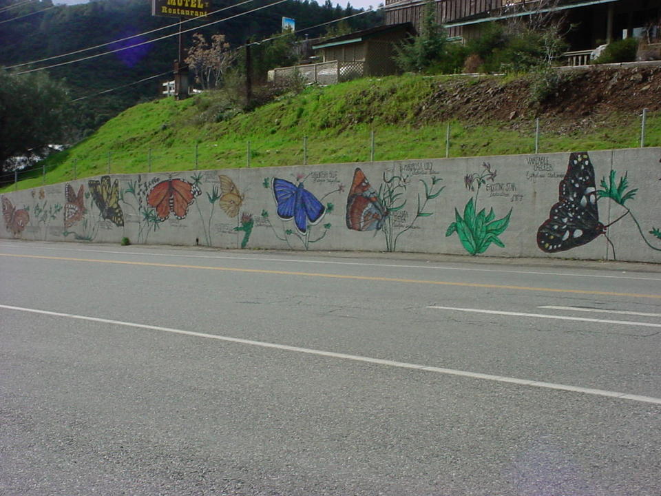 Mariposa, CA : Butterfly Wall