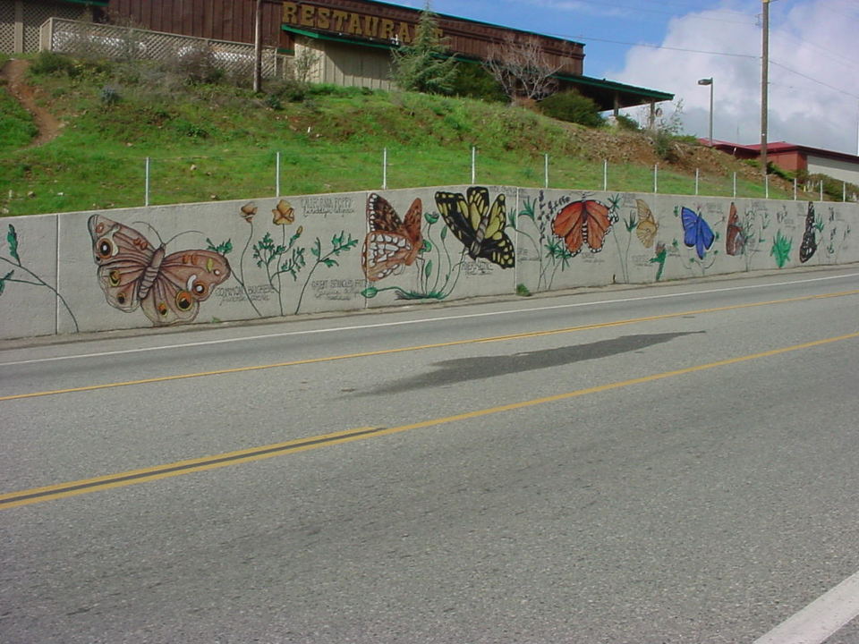 Mariposa, CA : Butterfly Wall II