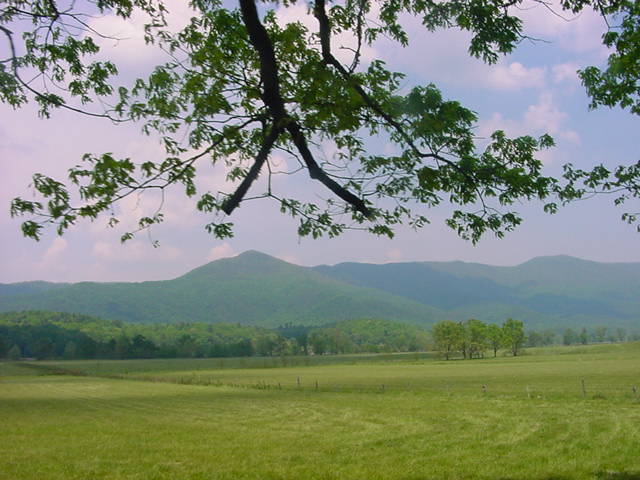 Townsend, TN : Cades Cove Loop-filled with scenic beauty surrounding every turn.