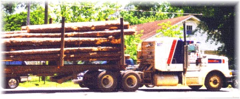 Bristol, FL: A Logging Truck in Bristol