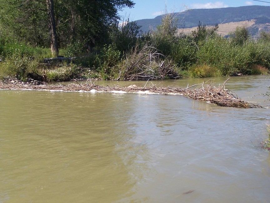 Kremmling, CO : Muddy Creek Beaver Dam