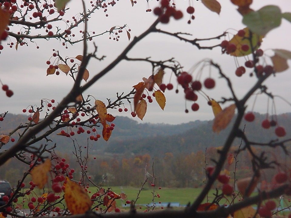 Fairmont, WV : Overlooking Fairmont