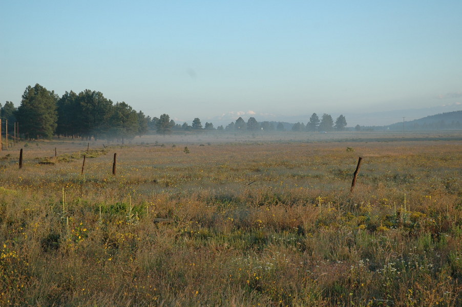 Williams, AZ : Sherwood Forest Estates