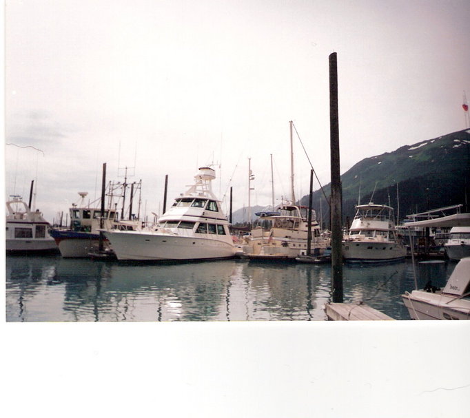 Seward, AK : Seward Marina....fishing boats (taken in July) while on vacation