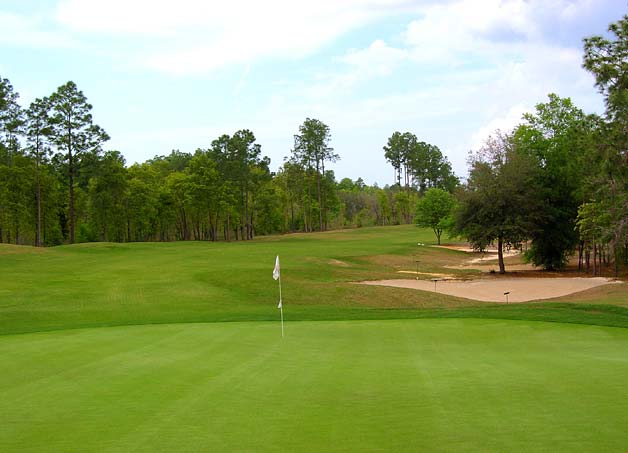 Citrus Springs, FL : Citrus Springs