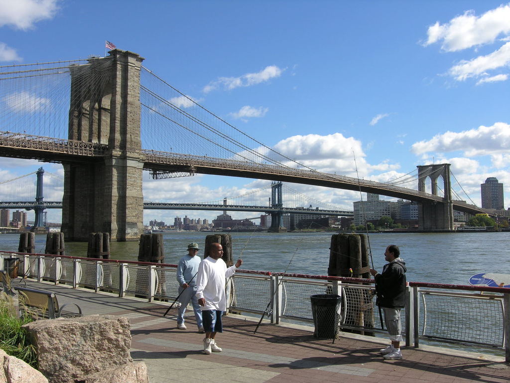New York, NY: Brooklyn and Manhattan Bridges