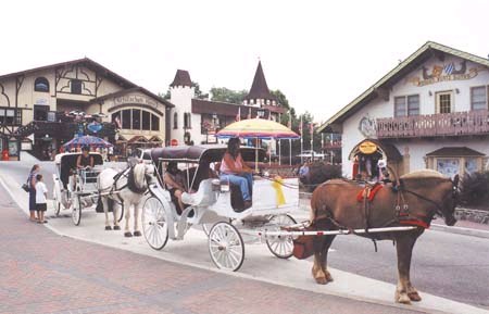 Helen, GA : Horse and buggy