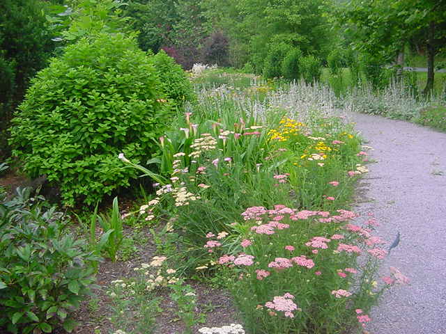 Townsend, TN : Floral walkway at the Lily Barn in Townsend