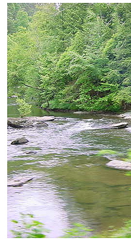 Townsend, TN : Townsend: Little Pigeon river