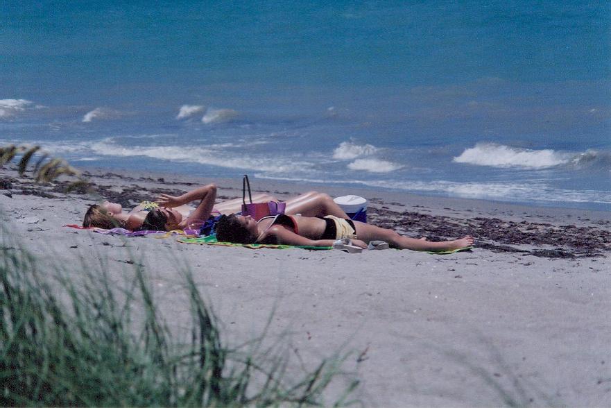 Fort Pierce North, FL : Best view in town