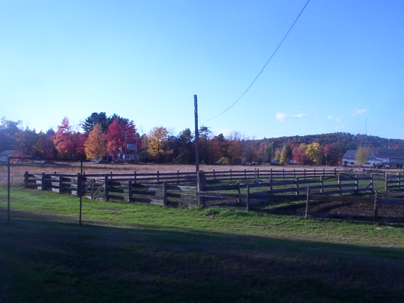 Casco, ME : Jabbusch family's home