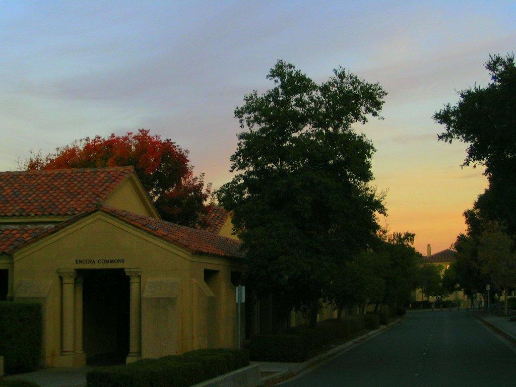 Stanford, CA : Stanford Campus pic