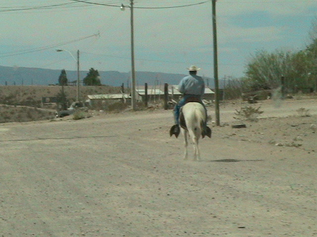 Presidio, TX : A Charro and his stallion on a lonely Presidio Dirt road