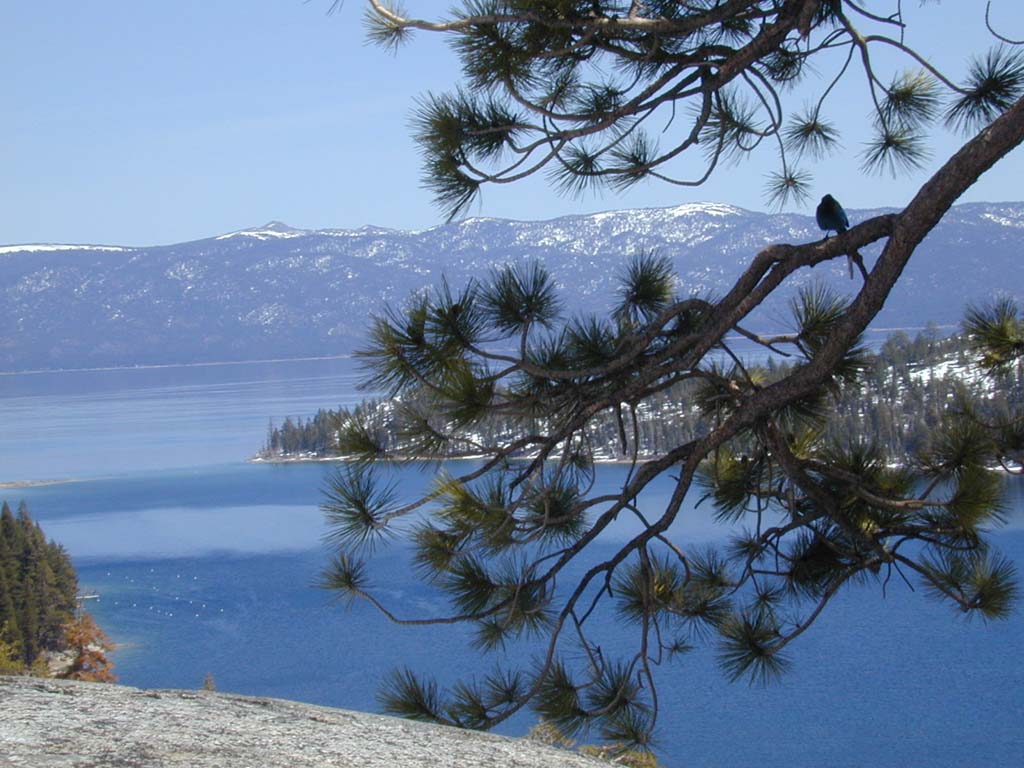 South Lake Tahoe, CA : Lake Taho
