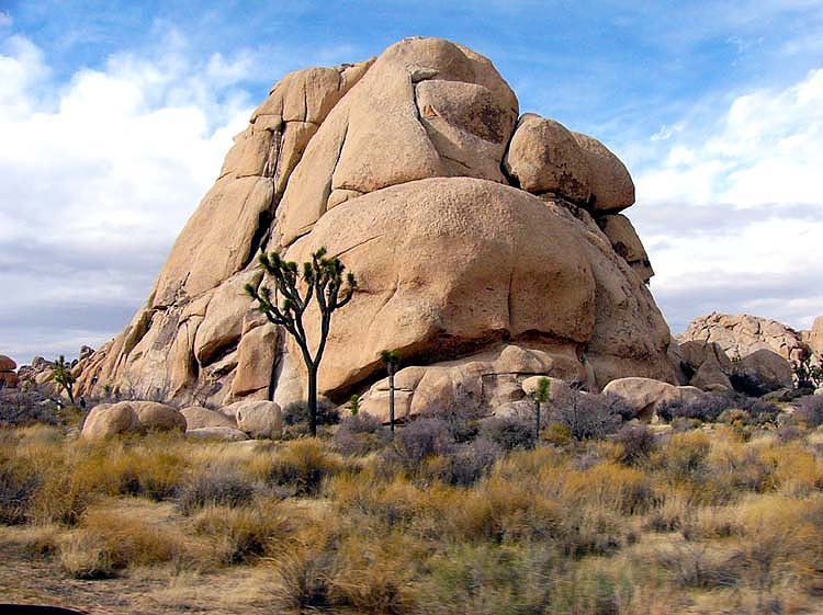 Yucca Valley, CA Joshua Tree National Park photo, picture, image