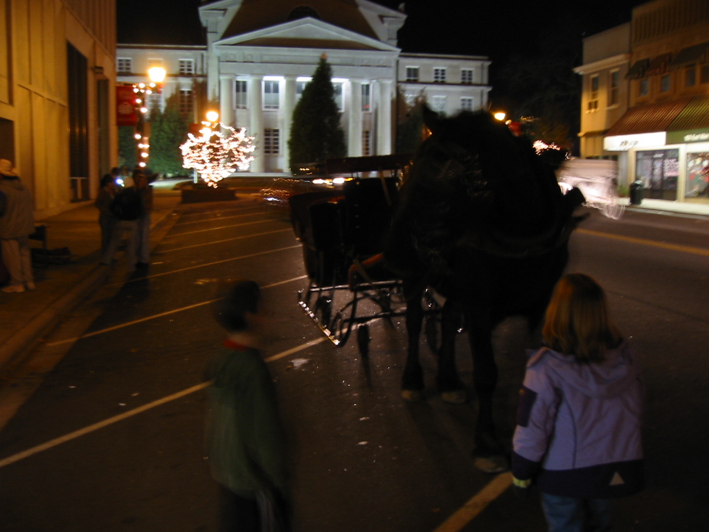 Lincolnton, NC : Downtown Lincolnton - Winter carriage rides