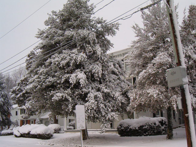 Smyrna, DE : South and Union St. Winter 2006