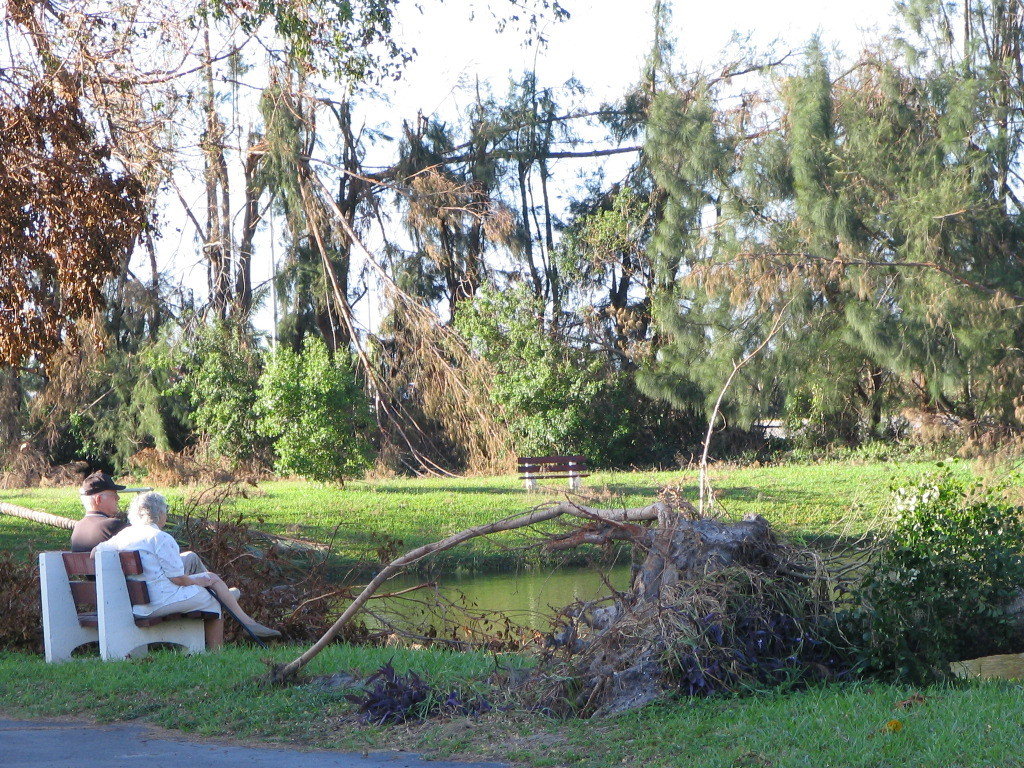 Leisureville, FL : wilma 2005