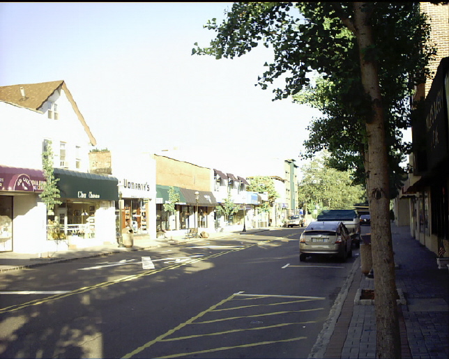 Tenafly, NJ: Washington ST looking West