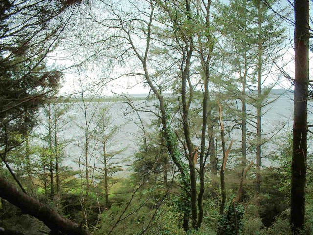 North Bend, OR : View of Bay from the park