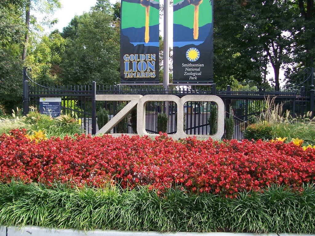 Washington, DC: National Zoo