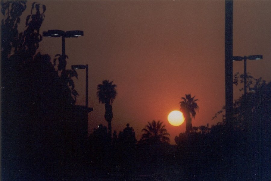 Bakersfield, CA: Sunset in Bakersfield - Nov. 2003
