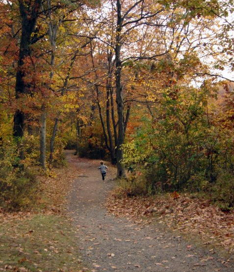 West Paterson, NJ: Garett Mountain in the fall 2005