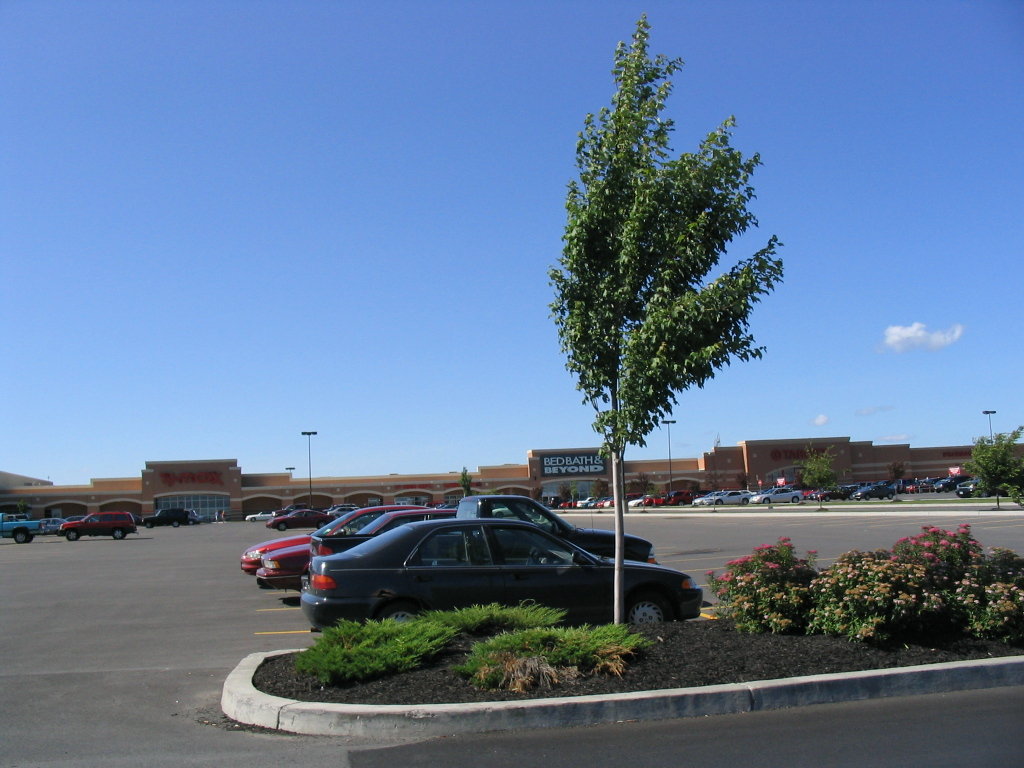 Clay, NY: Typical strip mall with Target and Home Depot in Clay in suburban Syracuse, NY