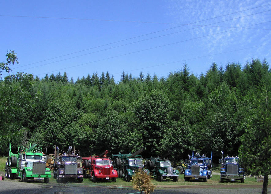 Monroe, OR : Restored old log trucks near  Monroe OR