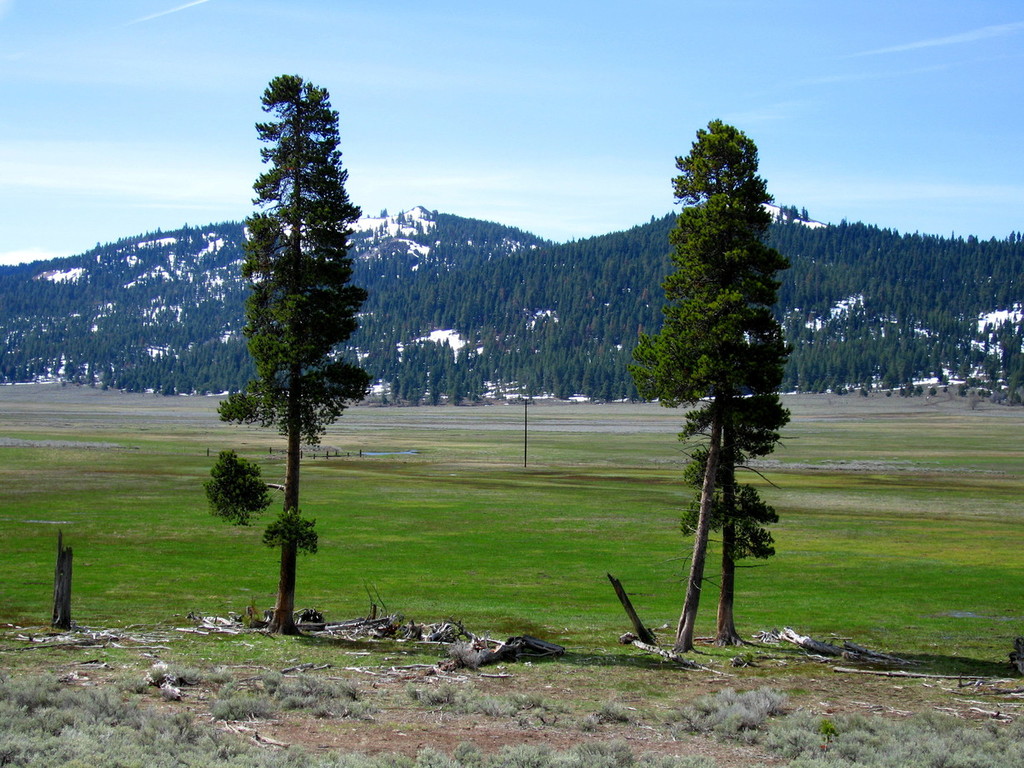Lakeview, OR : Warner Mountains near Lakeview
