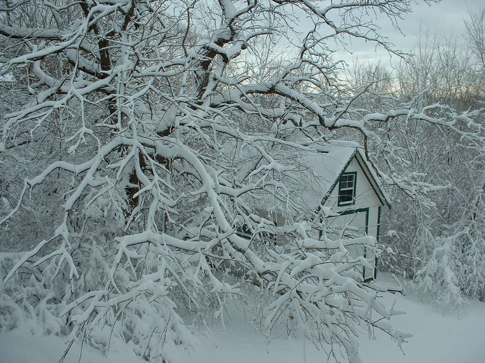 Eagan, MN: March 2006 Snowfall