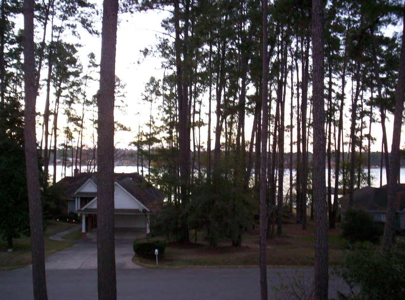 Willis, TX : North shore line of Lake Conroe. Willis