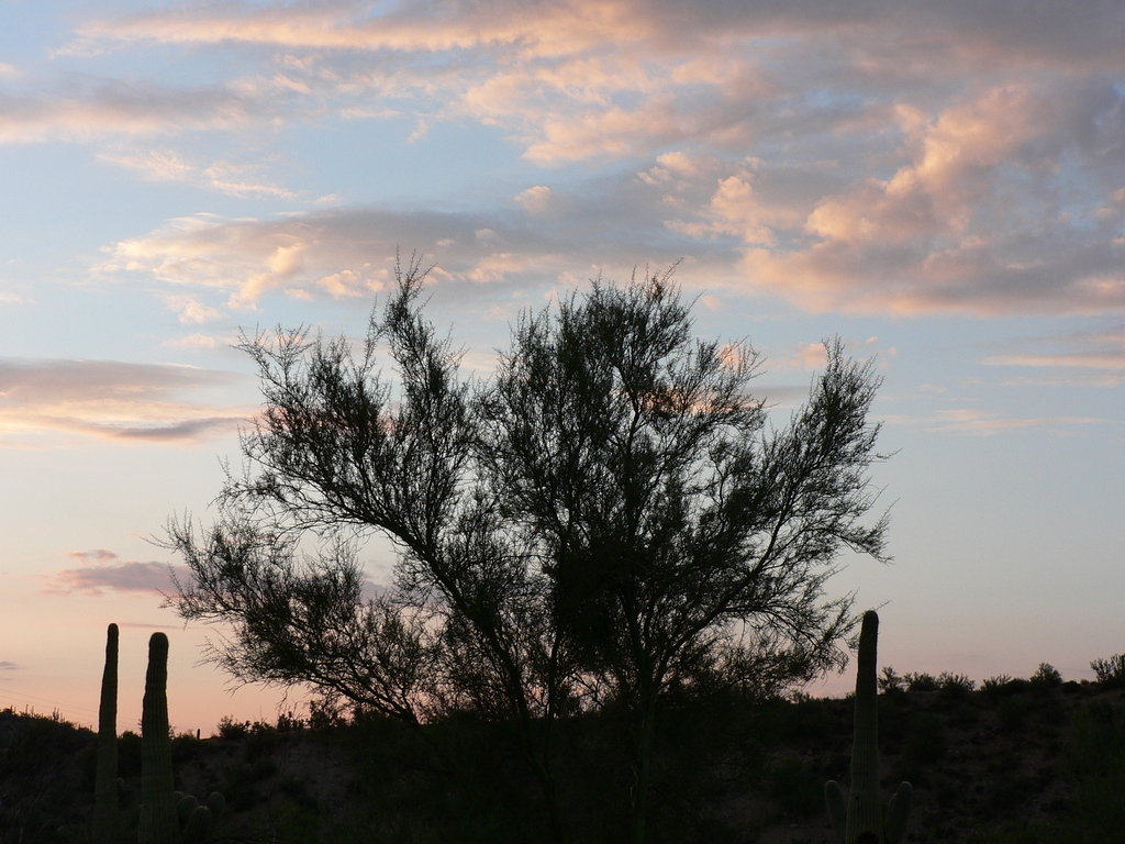Kearny, AZ Kearny Sunrise photo, picture, image (Arizona) at city