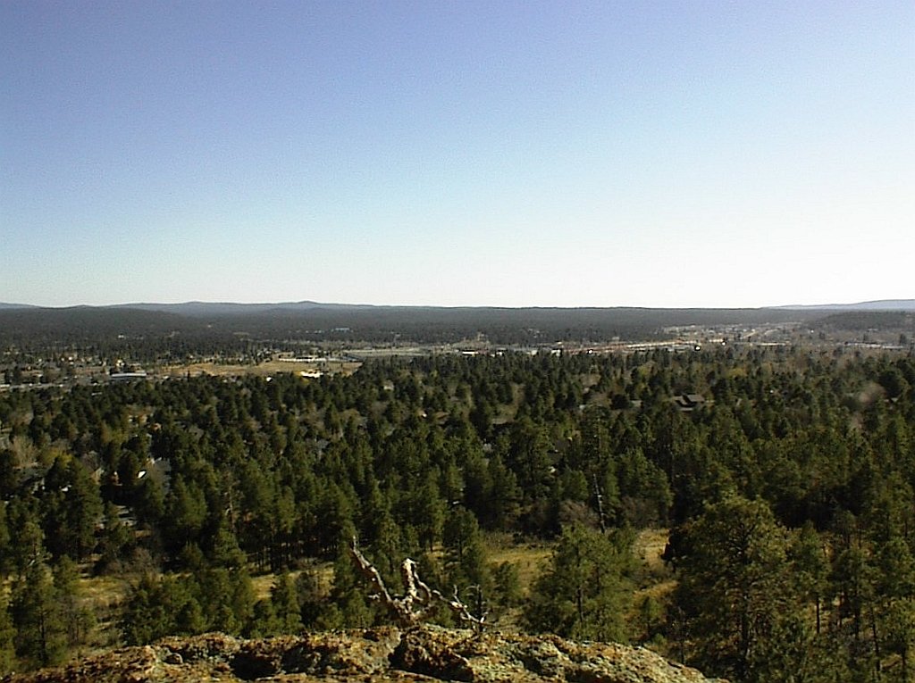 Flagstaff, AZ: Part of eastern Flagstaff, all inside the ponderosa pine dominant forest