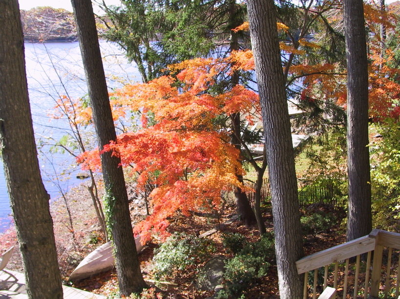 Ringwood, NJ: Erskine Lake Fall 2006