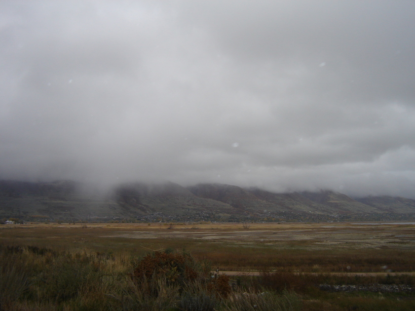Farmington, UT : Taken in the Farmington Bay Waterfowl Refuge.