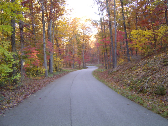 Rogers, AR : Fall colors on Ozark Ridge Drive in Rogers, Arkansas photo