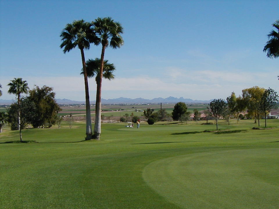 Blythe, CA Blyhte Public Golf Course photo, picture, image