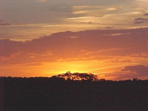 Smyrna, TN: Glorious Sunset...