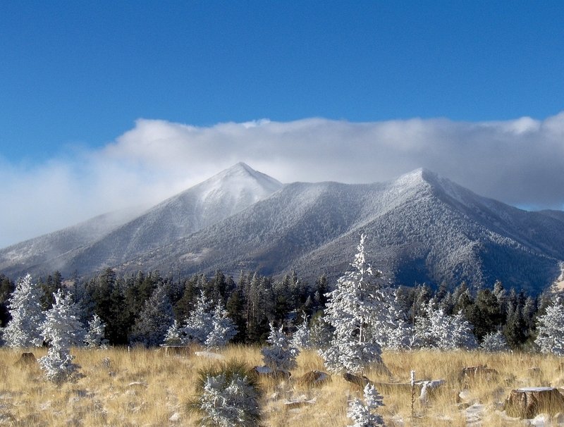 Flagstaff, AZ: First November snow of 2006, the clouds just cleared