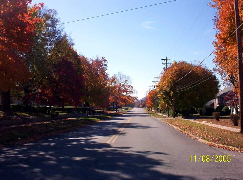 Rockwood, TN : Kingston Avenue
