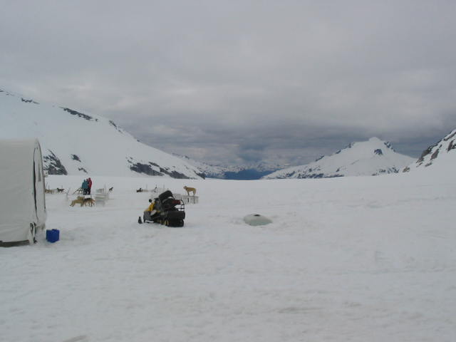 Juneau and, AK : Dog Camp on Mendenhall Glacier in Juneau