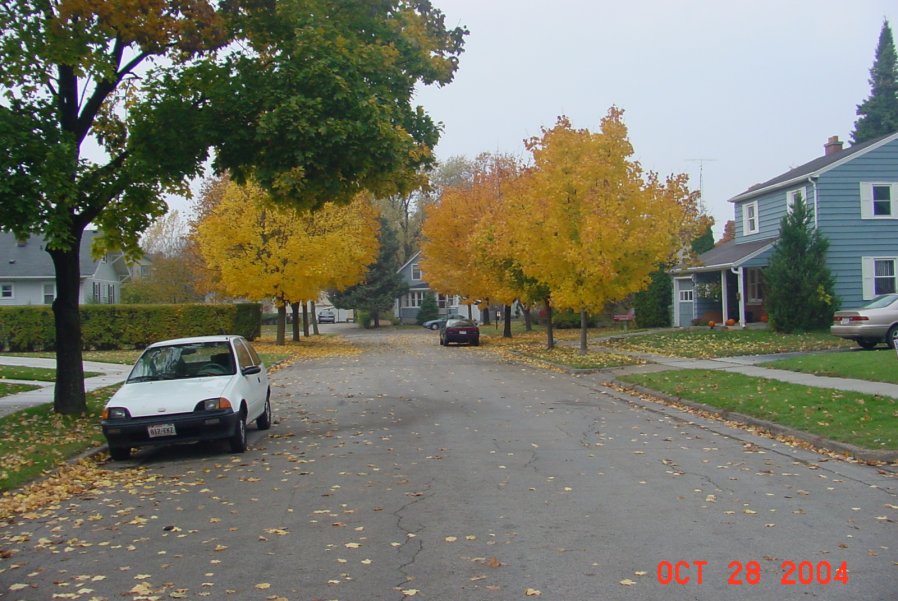 Fond du Lac WI : Fall colors on Maple Avenue photo picture image