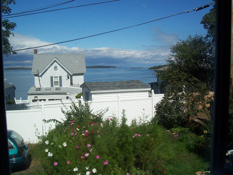 Weymouth, MA: from rose cliff