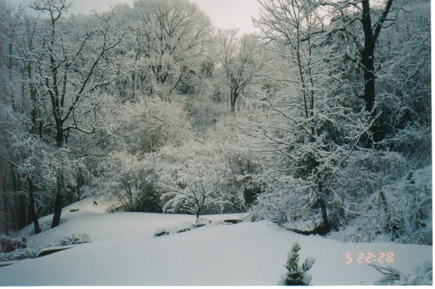 Kingsport, TN: Snow around pond in Kingsport