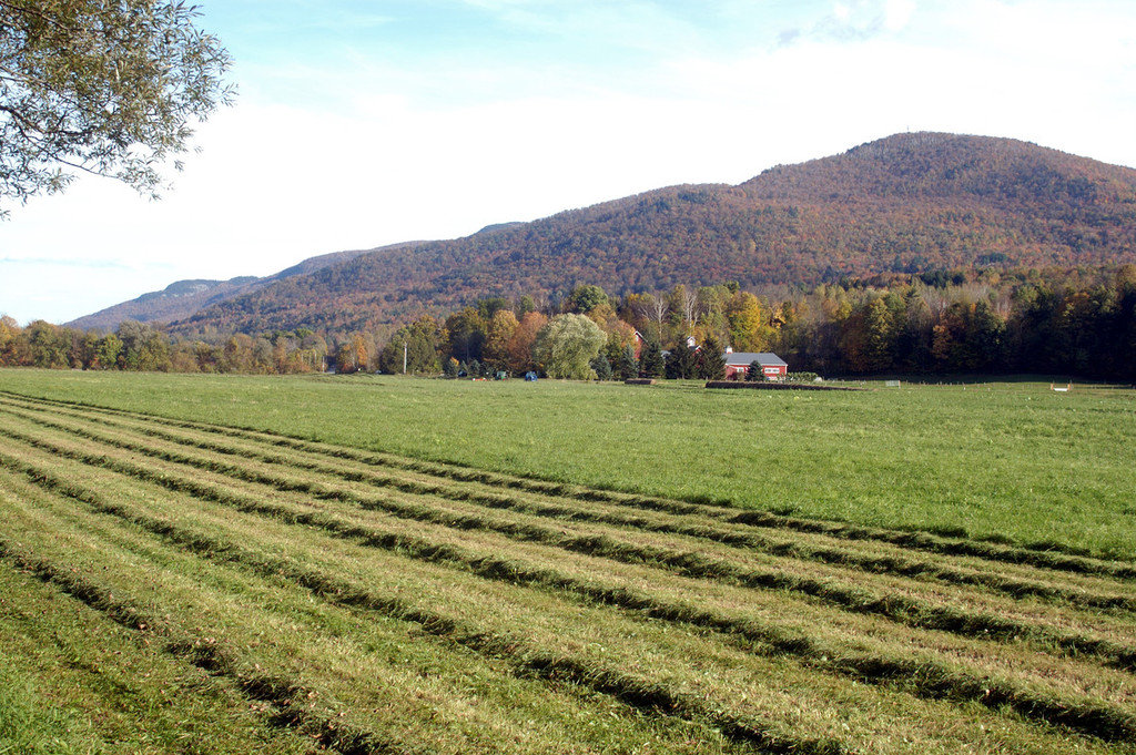 Richmond, VT Farm Richmond photo, picture, image (Vermont) at city
