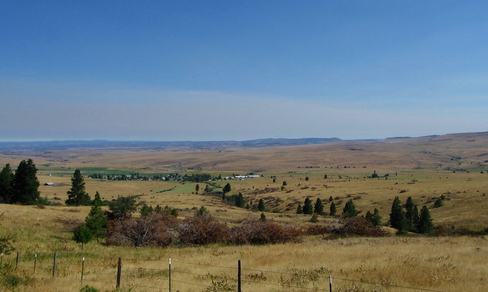 Long Creek, OR : Looking down on Long Creek....