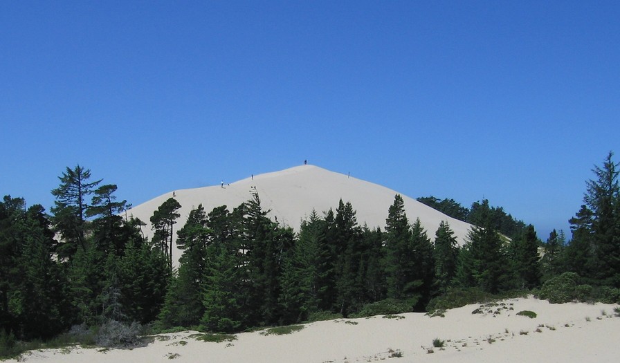 Florence, OR : Dune at Honeyman ST Park....